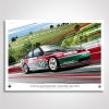 Shop Authentic Collectables | Legends Of Holden Motorsport: 1995 Bathurst 1000 Winner Limited Edition Print