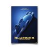 Shop Automobilist | Bluebird - Donald Campbell 1964 Land Speed Record - Australia - Collector'S Edition Print